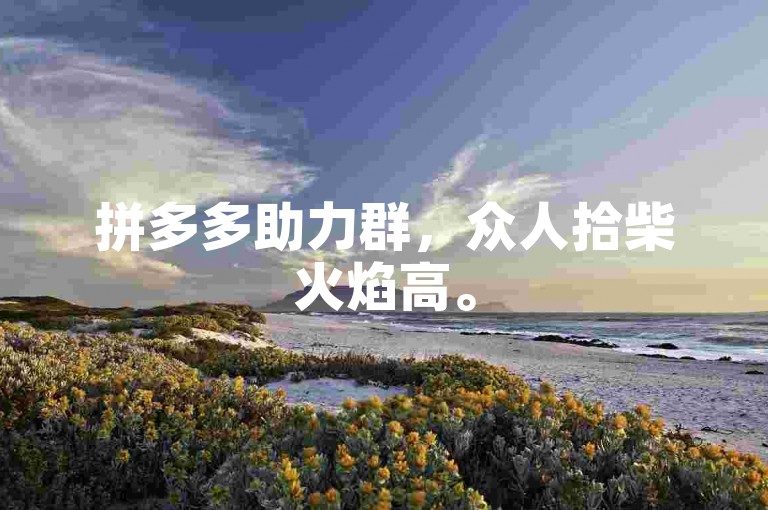 拼多多助力群，众人拾柴火焰高。