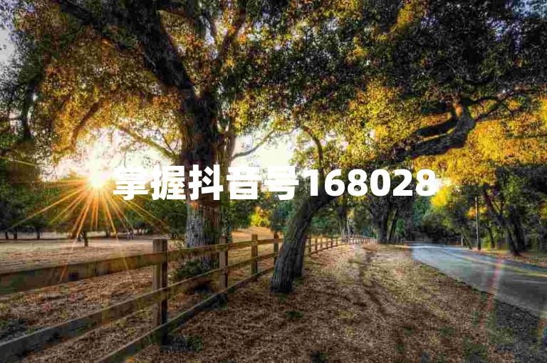 掌握抖音号16802858的使用方法，让你在社交媒体上更加游刃有余。