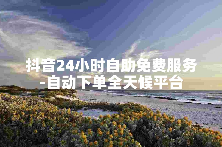 抖音24小时自助免费服务-自动下单全天候平台