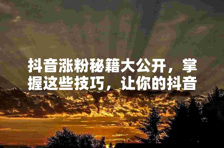 抖音涨粉秘籍大公开，掌握这些技巧，让你的抖音粉丝数量迅速飙升！2025年必备技能。