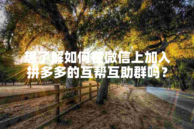 想了解如何在微信上加入拼多多的互帮互助群吗？