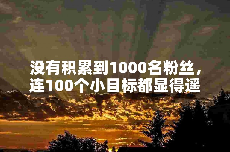 没有积累到1000名粉丝，连100个小目标都显得遥不可及。