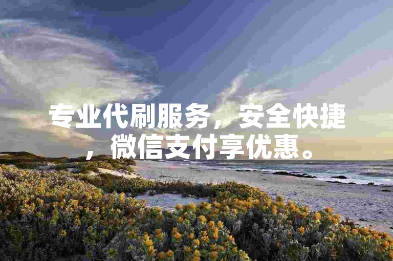 专业代刷服务，安全快捷，微信支付享优惠。