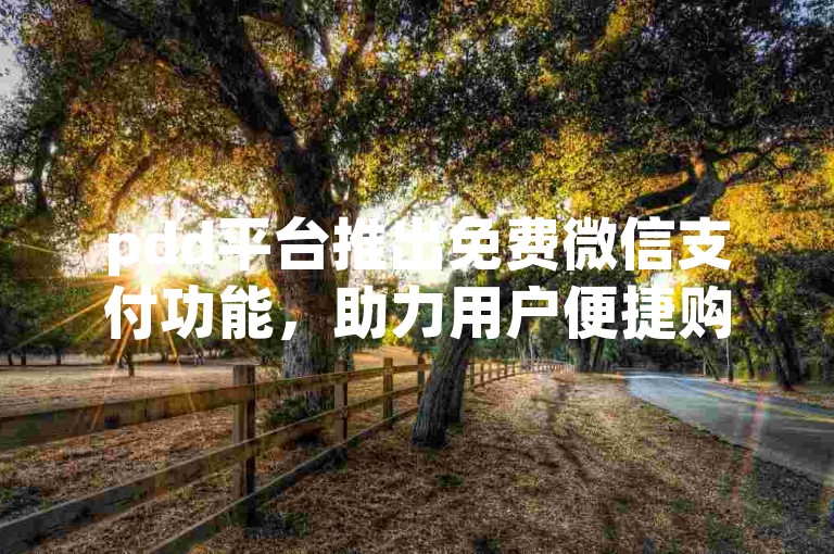 pdd平台推出免费微信支付功能，助力用户便捷购物。