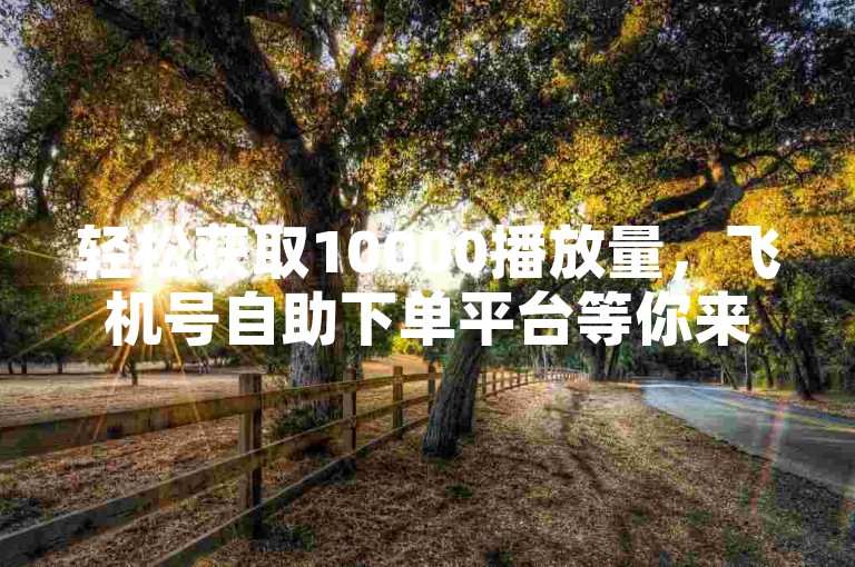 轻松获取10000播放量，飞机号自助下单平台等你来体验！