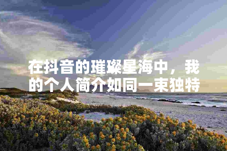 在抖音的璀璨星海中，我的个人简介如同一束独特的光芒，简洁而不失个性，让人一眼难忘。
