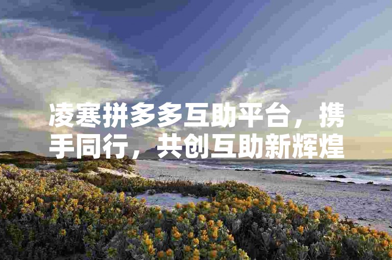 凌寒拼多多互助平台，携手同行，共创互助新辉煌。