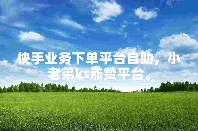 快手业务下单平台自助，小老弟ks涨赞平台。