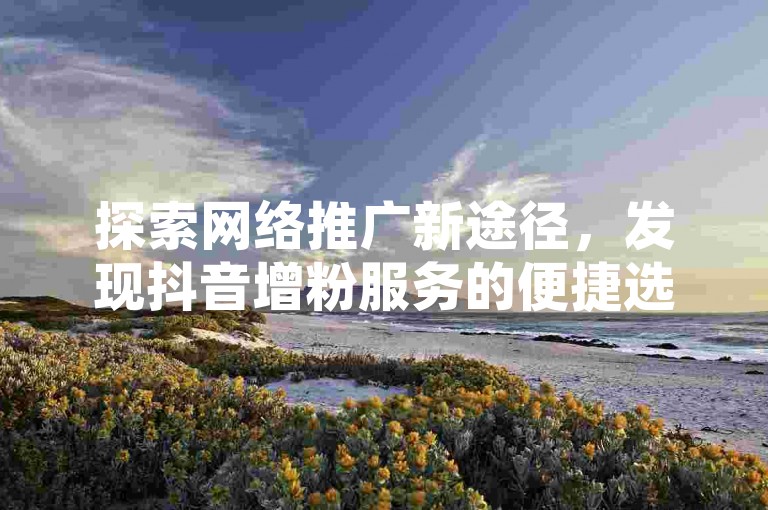 探索网络推广新途径，发现抖音增粉服务的便捷选择。