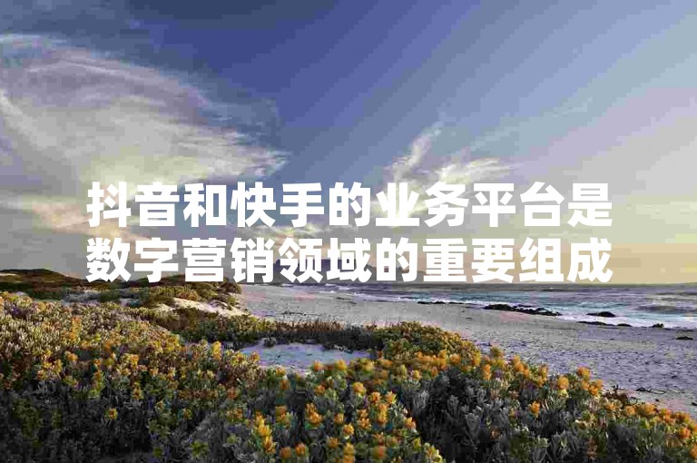 抖音和快手的业务平台是数字营销领域的重要组成部分，为用户提供了丰富的内容创作与分享工具。