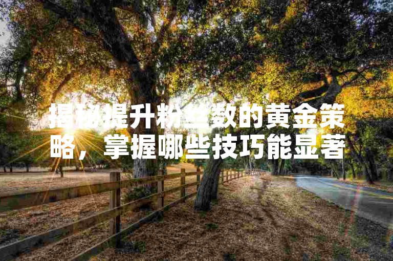揭秘提升粉丝数的黄金策略，掌握哪些技巧能显著提升你的关注者数量？！2025年必备知识