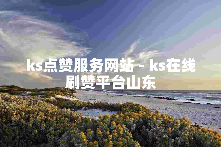 ks点赞服务网站 - ks在线刷赞平台山东
