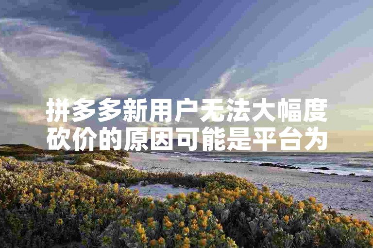 拼多多新用户无法大幅度砍价的原因可能是平台为了控制成本和防止恶意刷单。