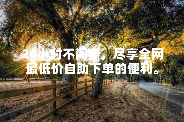 24小时不间断，尽享全网最低价自助下单的便利。
