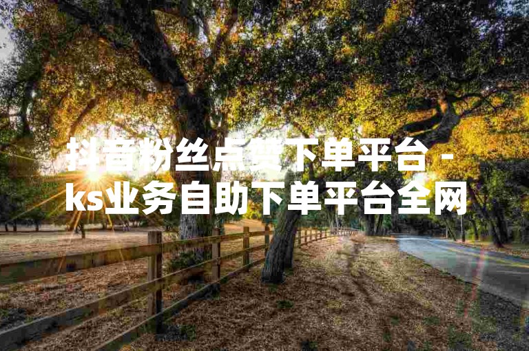 抖音粉丝点赞下单平台 - ks业务自助下单平台全网最低价,dy刷赞自助下单微信支付