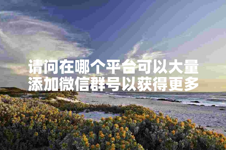 请问在哪个平台可以大量添加微信群号以获得更多助力？