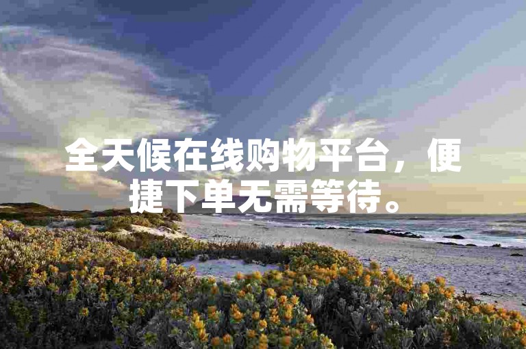 全天候在线购物平台，便捷下单无需等待。