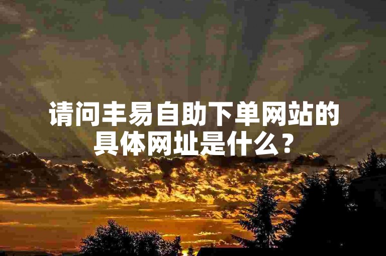 请问丰易自助下单网站的具体网址是什么？