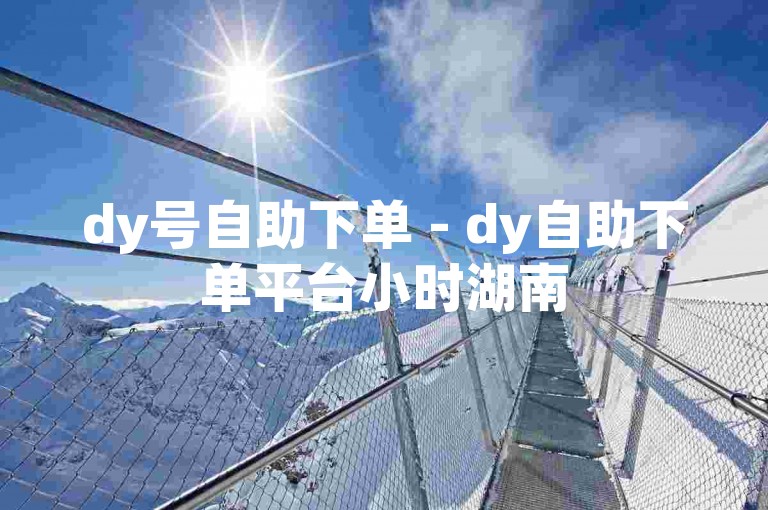 dy号自助下单 - dy自助下单平台小时湖南