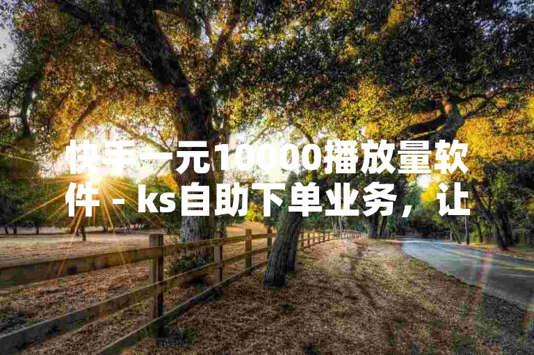 快手一元10000播放量软件 - ks自助下单业务，让你的视频迅速走红！