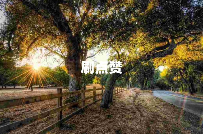 刷点赞520-在线自助下单平台
