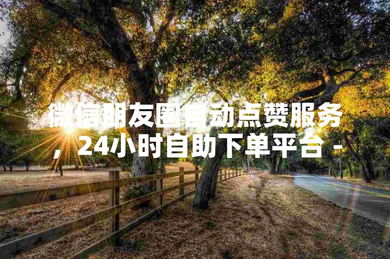 微信朋友圈自动点赞服务，24小时自助下单平台 - 快手秒赞最便宜的网站 - 游戏点卡即时发放服务。