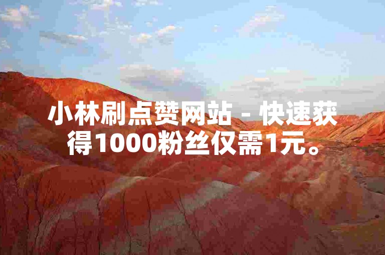 小林刷点赞网站 - 快速获得1000粉丝仅需1元。