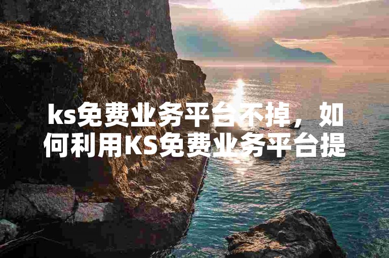 ks免费业务平台不掉，如何利用KS免费业务平台提升个人技能与职业发展？