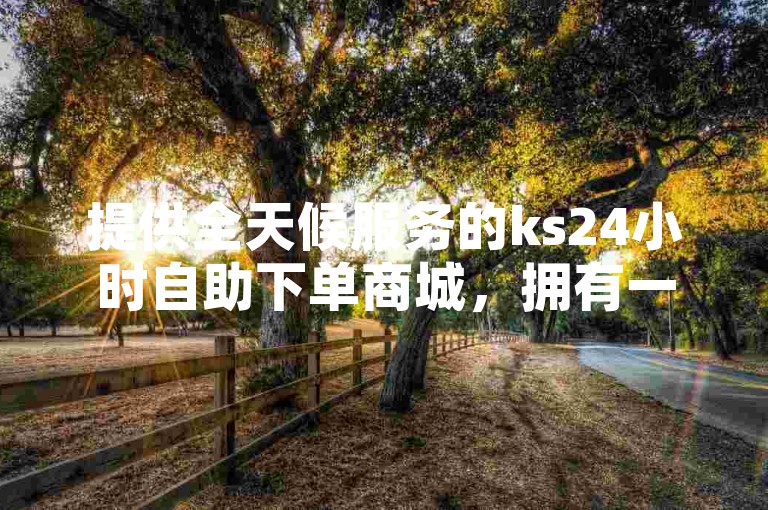 提供全天候服务的ks24小时自助下单商城，拥有一支随时待命的人工点赞团队。