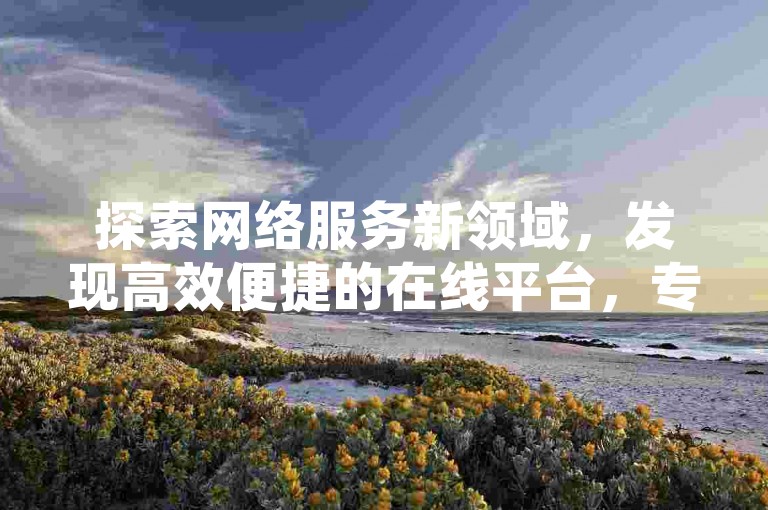 探索网络服务新领域，发现高效便捷的在线平台，专为提升您的数字体验而设计。