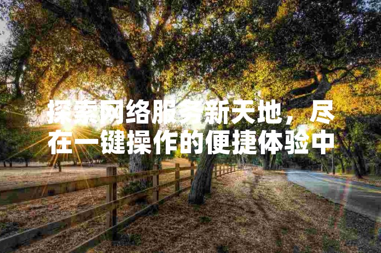 探索网络服务新天地，尽在一键操作的便捷体验中，享受专属优惠，让互动更加精彩。