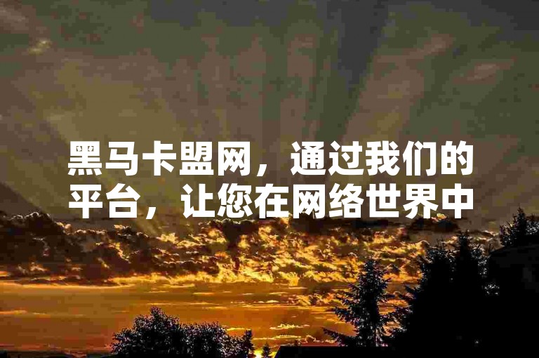 黑马卡盟网，通过我们的平台，让您在网络世界中轻松赚取收益成为可能。