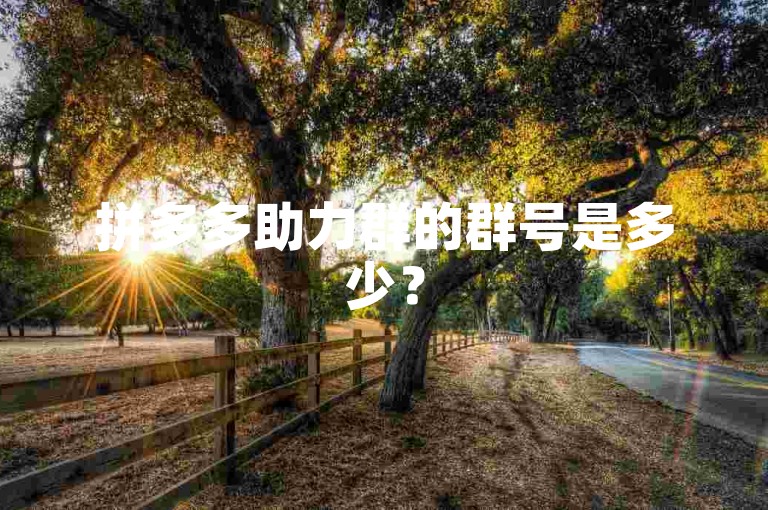 拼多多助力群的群号是多少？