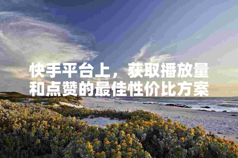 快手平台上，获取播放量和点赞的最佳性价比方案。