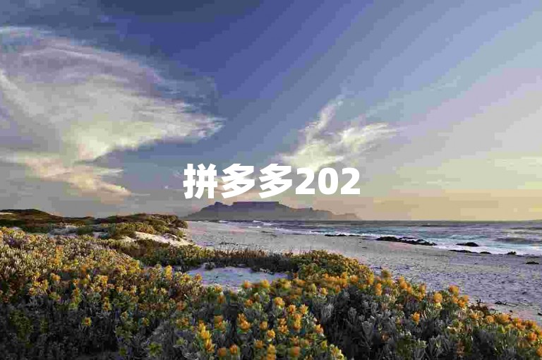 拼多多2025年最新版互助群组下载链接{pdd助力工具}