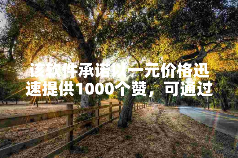 该软件承诺以一元价格迅速提供1000个赞，可通过卡盟平台即时下单。