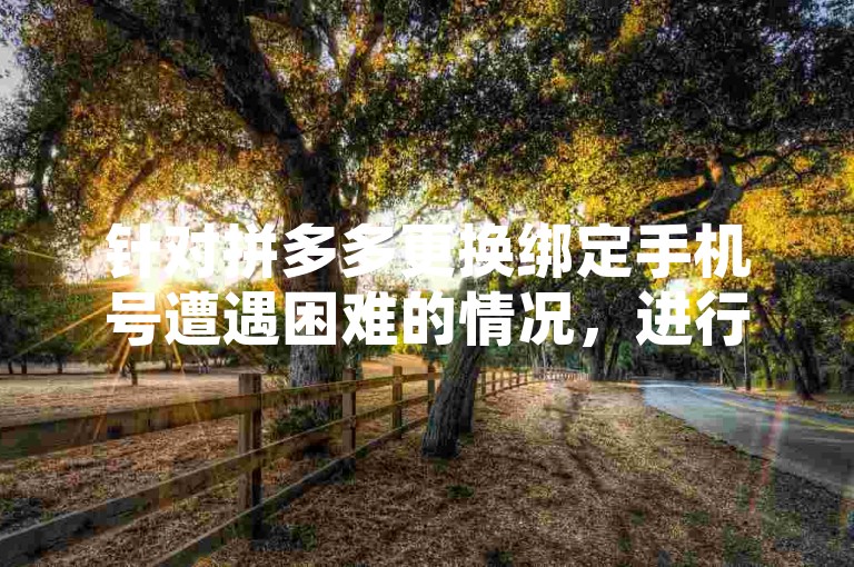 针对拼多多更换绑定手机号遭遇困难的情况，进行原因剖析并制定相应的解决措施。
