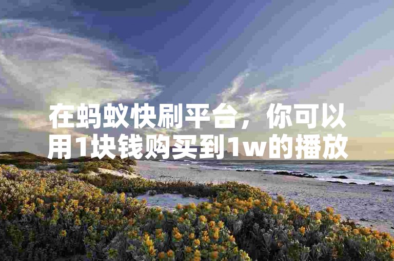在蚂蚁快刷平台，你可以用1块钱购买到1w的播放量。