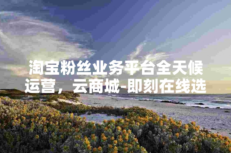 淘宝粉丝业务平台全天候运营，云商城-即刻在线选购。