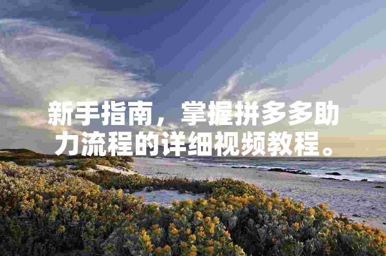 新手指南，掌握拼多多助力流程的详细视频教程。