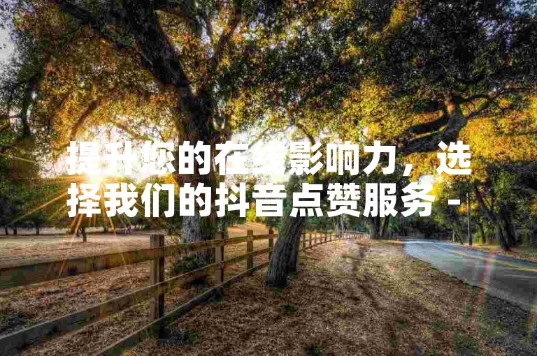 提升您的在线影响力，选择我们的抖音点赞服务 - 全网性价比最高。