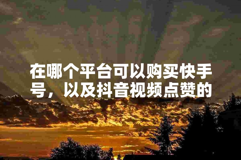 在哪个平台可以购买快手号，以及抖音视频点赞的24小时自助下单服务？