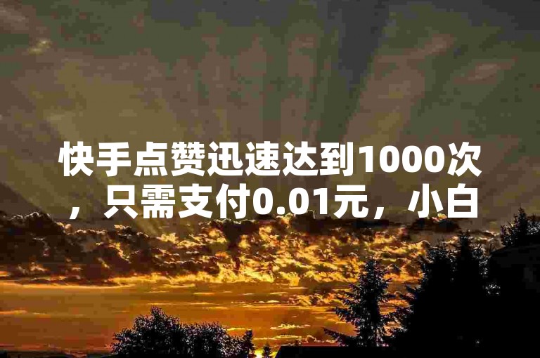 快手点赞迅速达到1000次，只需支付0.01元，小白龙马山的房产装修服务让你轻松获得高人气。