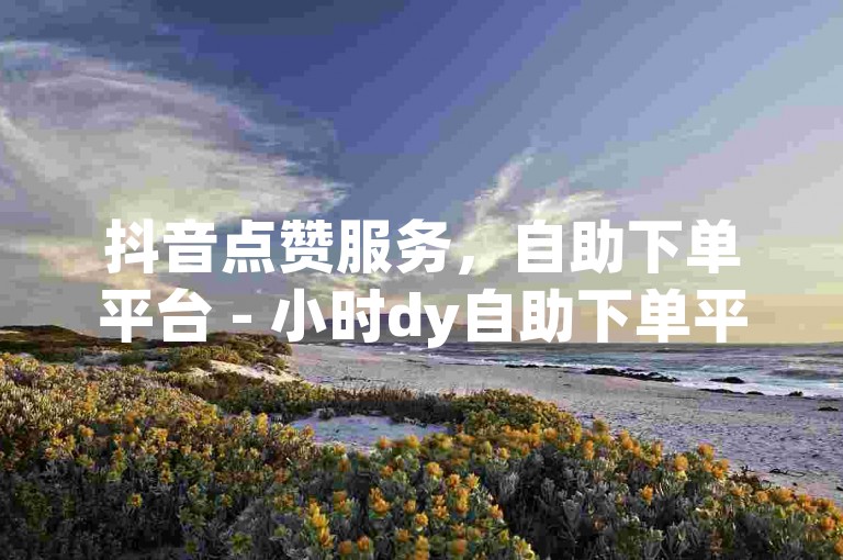 抖音点赞服务，自助下单平台 - 小时dy自助下单平台卡盟。