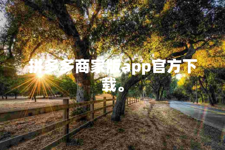 拼多多商家版app官方下载。