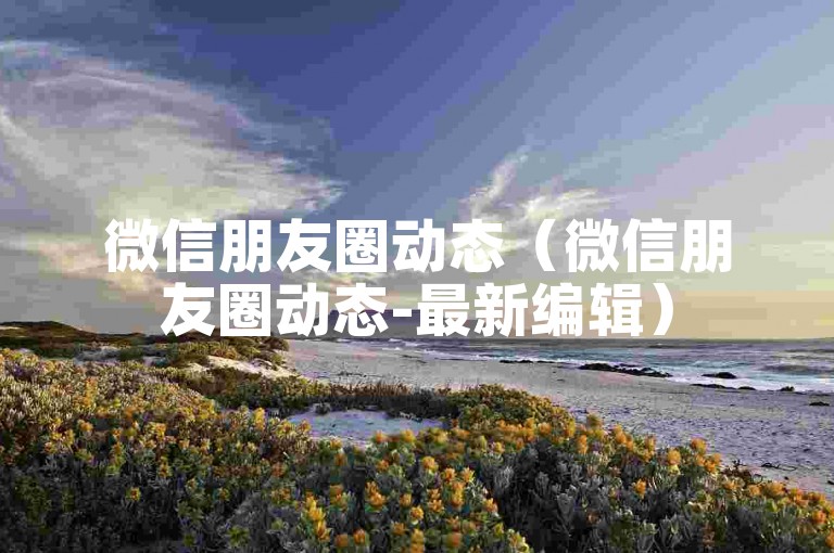 微信朋友圈动态（微信朋友圈动态-最新编辑）