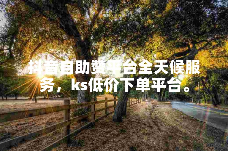 抖音自助赞平台全天候服务，ks低价下单平台。