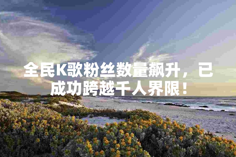 全民K歌粉丝数量飙升，已成功跨越千人界限！