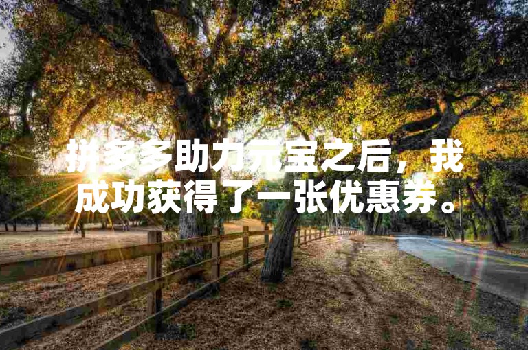 拼多多助力元宝之后，我成功获得了一张优惠券。
