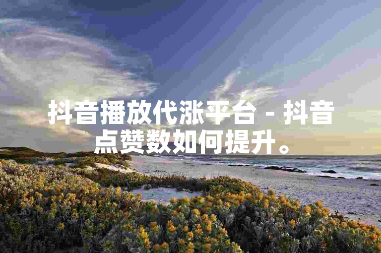 抖音播放代涨平台 - 抖音点赞数如何提升。